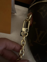 Louis Vuitton LV Mini Canvas Bag
