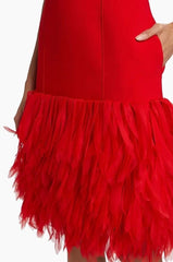 Red dress with a feathered skirt on a white background