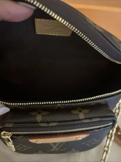 Louis Vuitton LV Mini Canvas Bag