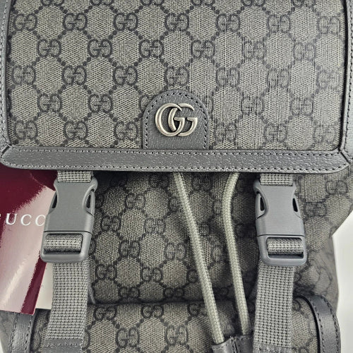 Gray Gucci backpack with logo on a white background