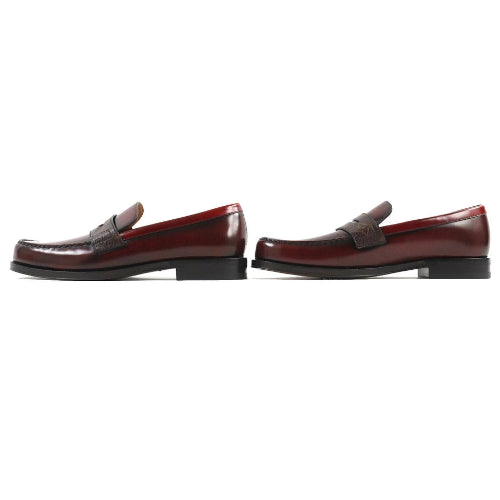 Pair of brown loafers on a white background