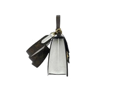 Louis Vuitton Spring Street Trunk Bag