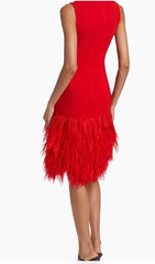 Red dress with feathered skirt on a white background